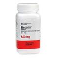 Generic Lincocin 500mg 36 tabs, lincomicina